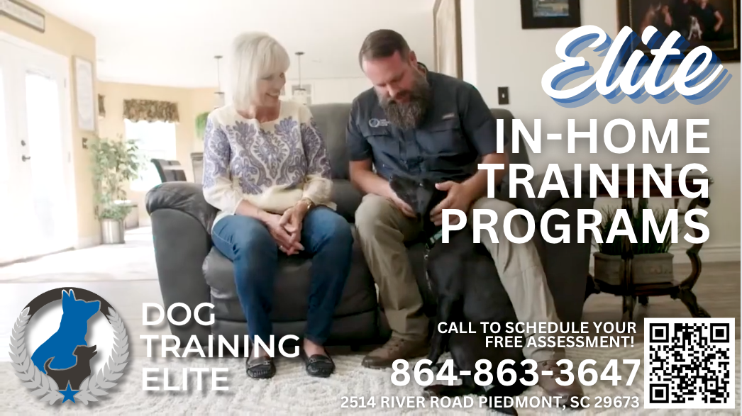 Dog Training Elite – Piedmont, SC